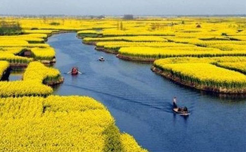 武汉蔡甸消泗乡