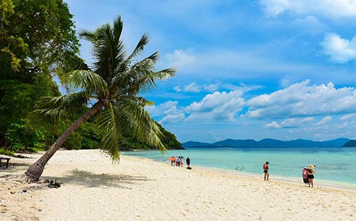 普吉岛珊瑚岛5 普吉岛珊瑚岛5