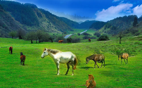 仙女山1 仙女山1