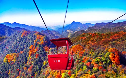 金佛山秋天3 金佛山秋天3