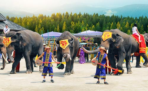 西双版纳野象谷2