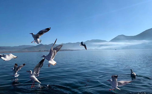 泸沽湖1 泸沽湖1