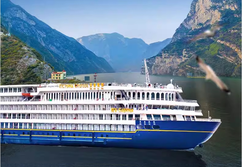 美维凯悦 美维凯悦