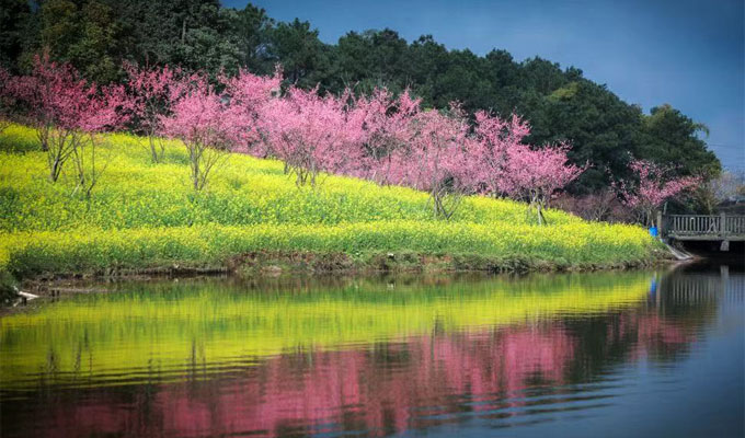 重庆中车长客公司3