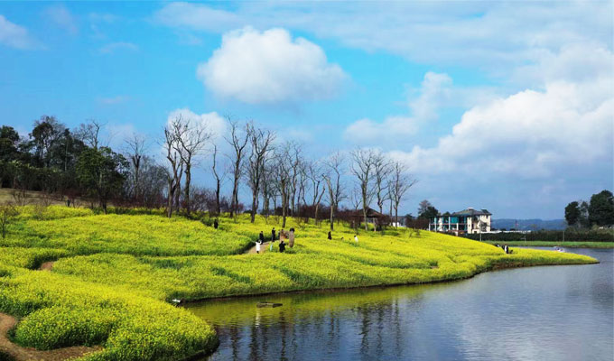 重庆中车长客公司5