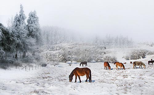 仙女山1 仙女山1