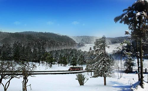 仙女山2 仙女山2
