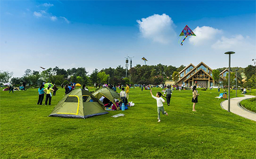 铁山坪露营 铁山坪露营