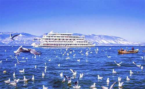 洱海游船 洱海游船