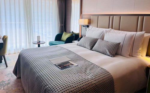 世纪绿洲家庭房大床