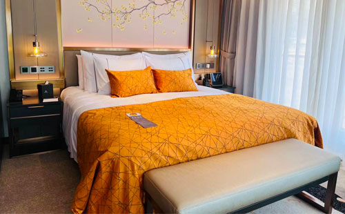 世纪绿洲总统套房2