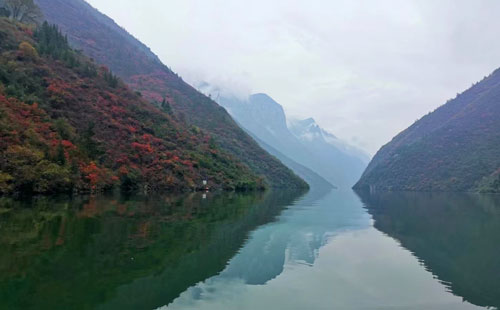 三峡红叶季