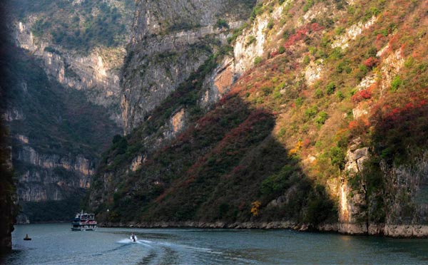 三峡红叶 三峡红叶