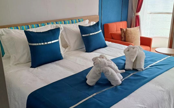 长江一号游轮行政房